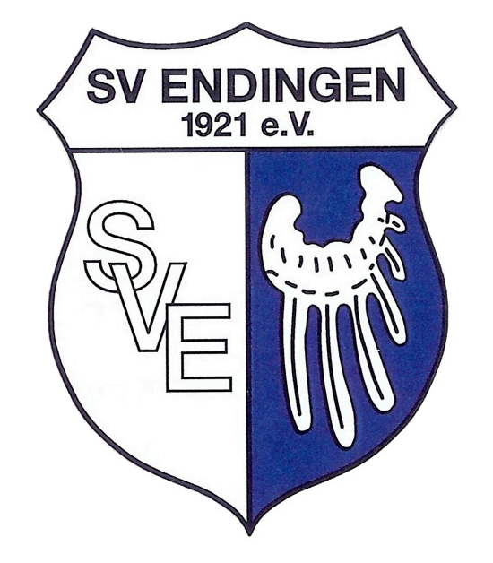 Logo-SVE (1)