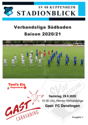 stadionblick-fcdenzlingen
