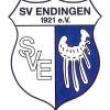 Logo-SVE (1)