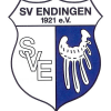 Logo-SVE (1) Logo-SVE (1)